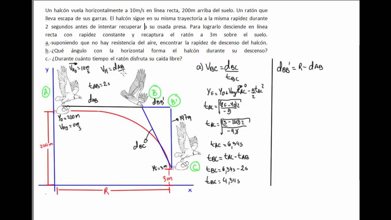Problema del Halcon, Movimiento de 2 Dimensiones. YouTube