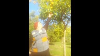 Уроки иврита с Броней СМИХУТ 1 Уроки иврита с Броней СМИХУТ 1