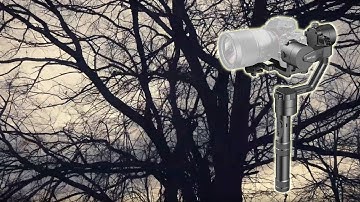 ZHIYUN CRANE v2 - TEST FOOTAGE