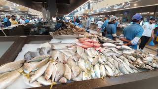 سوق السمك الجديد في أبوظبي ... NEW FISH MARKET ABU DHABI