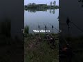Что за вайб ❤️#fishing #reels #top #lake #рыбалка #carp #euro2024 #football #shorts