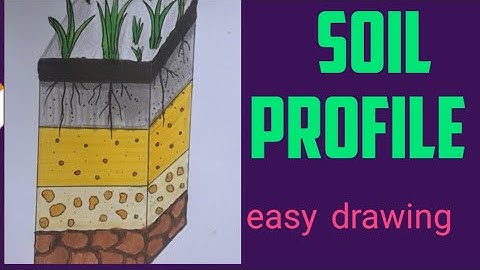 How to draw soil profile diagram easily / layers of soil  easy drawing / horizons of soil drawing 