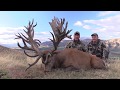 Giant red stag hunting in New Zealand with Exclusive Adventures  - Record Book stag