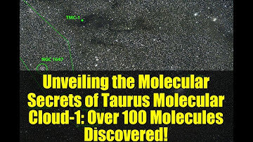 Unveiling the Molecular Secrets of Taurus Molecular Cloud-1: Over 100 Molecules Discovered!