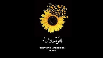 سورة الفرقان القارئ شريف مصطفى تلاوة خاشعة جميلة جدا 😌❤️ حالات واتس اب
