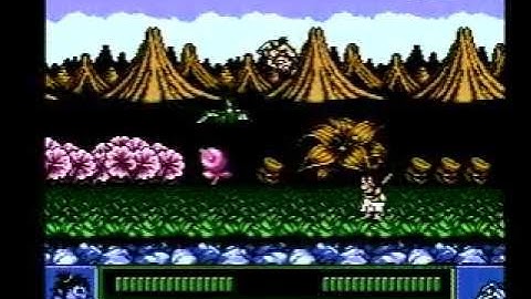 Joe & Mac NES Speedrun 8:34 [My SDA WR Speedrun]