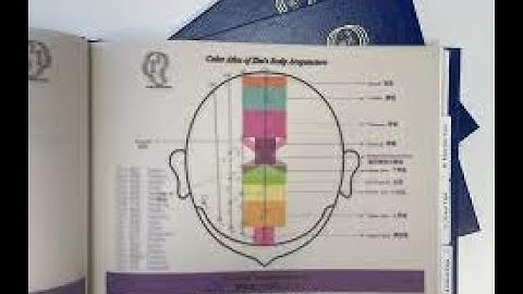 SCALP ACUPUNCTURE: Therapeutic Zone Scalp Acupuncture (Zhu Scalp Acupuncture)