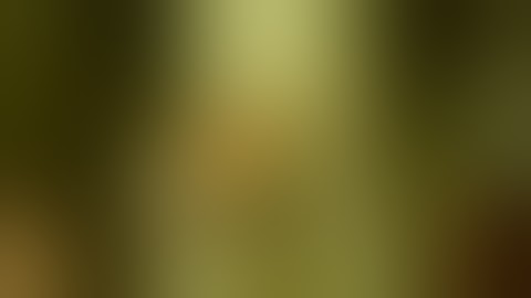 Gastro Growers Ganja Garden Cycle 1 Episode 5