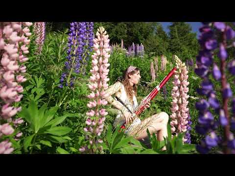 Bassoon in the Wind #2