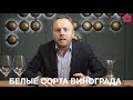 ТОП - 15 главных сортов винограда для производства вина. Часть 1 - Белые.