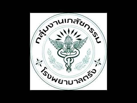 2ยาอะมอกซิซิลลินน้ำ Myanmar