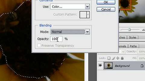 Change a Color in an Image With the Fill Command in Photoshop CS3