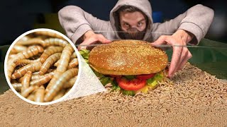 How Quickly The MAGGOTS Eat GIANT BURGER? WORMS VS GIANT BURGER TIMELAPSE.