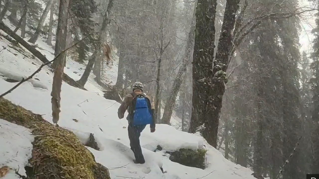 Solo winter bushcraft camping | a night in deep snow | Bushcraft ...