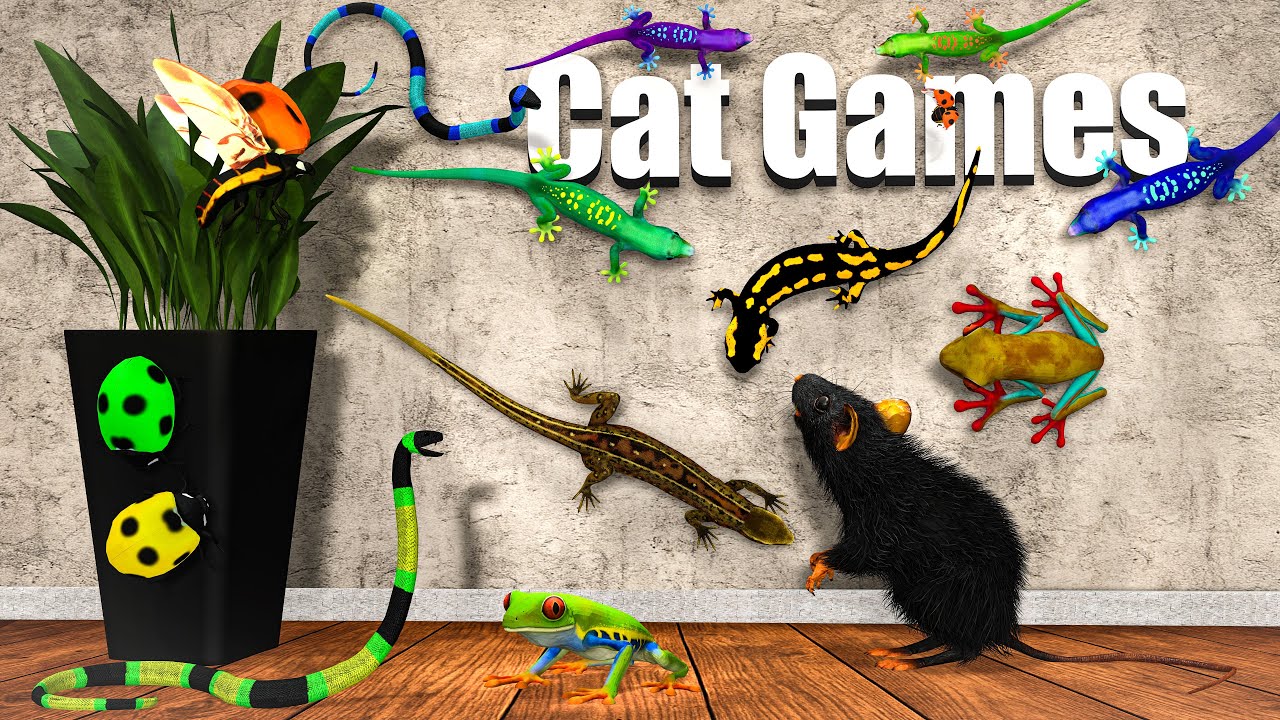 Cat Games to Watch – Lizards, Frogs & Bugs Running Everywhere! 🐭🦎🐸 | Cat TV 4K 60FPS