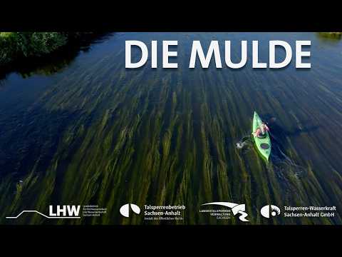 Die Mulde - vom Zusammenfluss bis zur Mündung