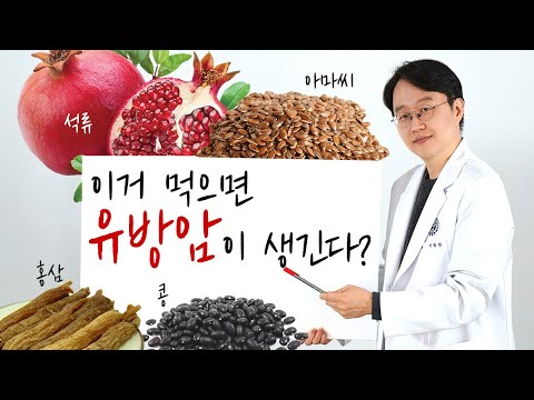 유방암에  좋은음식 나쁜음식 오해와 진실에 대해 정확히 알려드립니다.(Phytoestrogen and breast cancer)