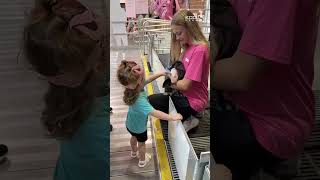 Cuddles Snuggles event at Iowa State Fair is a hit with families