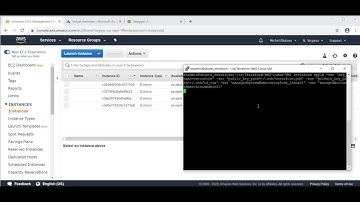 BeyondTrust DevOps Secrets Safe:  Terraform + AWS : Linux VM