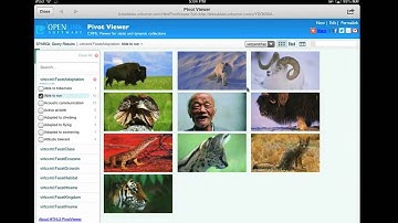 HTML5 PivotViewer iPad Rough Cut