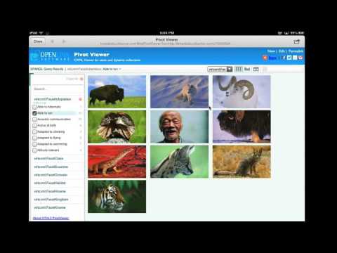 HTML5 PivotViewer iPad Rough Cut