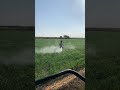Agriculture 🧑🌾 दवाई का जटकाव गेऊ में किसानी#farming#farmingvideos#farmimplements#farmerlife