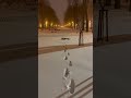 Footsteps in snow Kharkov 2022