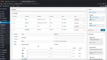 Display any Form Element Value in WordPress in the Frontend with BuddyForms Hook Fields