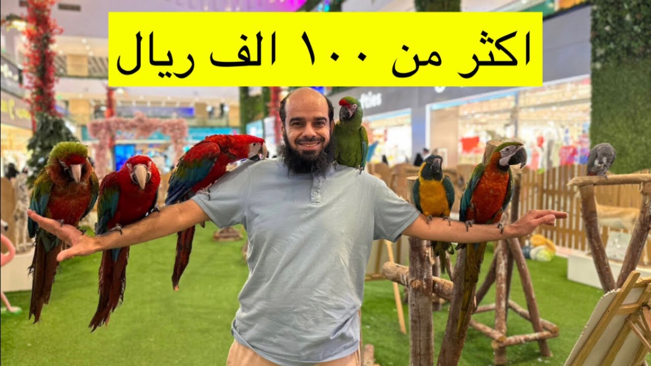 طيور غاليه جدا بيغاوات اسعارها توصل ٢٠ الف شوفها تقدر انت تصور معها بالرياض