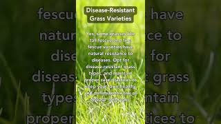 Disease-Proof Your Lawn: Top Varieties for a Healthy Yard