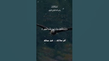 تلاوة خاشعة عطرة مباركة جميلة عذبة مميزة طيبة للشيخ ماهر المعيقلي ماتيسر من سورة القلم