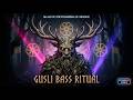 GUSLI BASS RITUAL | Dark Slavic Psychedelic Music | Psychedelic Visuals