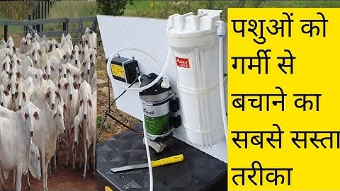 Fogger System के बारे में A to Z जानकारी | Fogger Machine | Fogger System for Diary Farm |