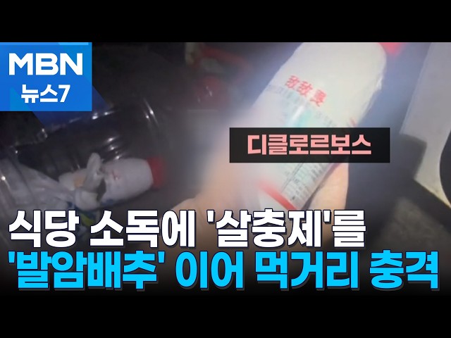 소독한다며 '유독성 살충제' 뿌려…중국 유명 식당 수십 곳 연루 [MBN 뉴스7]