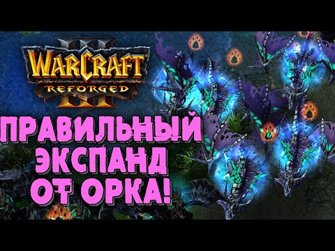 Видео: ПРАВИЛЬНЫЙ ЭКСПАНД ОТ ОРКА: Simmons (Orc) vs Happy (UD) Warcraft 3 Reforged