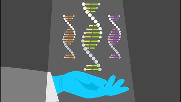 Human Genetic Diversity is Discordant