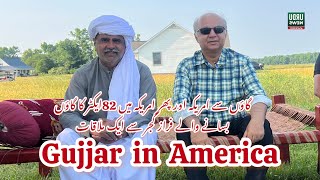 Gujjar in America : Very Interesting Interview with Ch Faraz Gujar of USA at Gujjar Farm Delaware