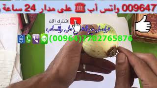 جلب الحبيب وصفة نارية قوية تجعله يتصل بك في الحال 009647702766133