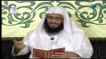 فبهداهم اقتده (19) | سليمان عليه السلام والنملة النمل الآية 17-19