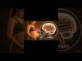 Pregnancy Stretch Marks Guide | स्ट्रेच मार्क्स का होतात?”#shortvideo  #youtubeshorts #pregnancy