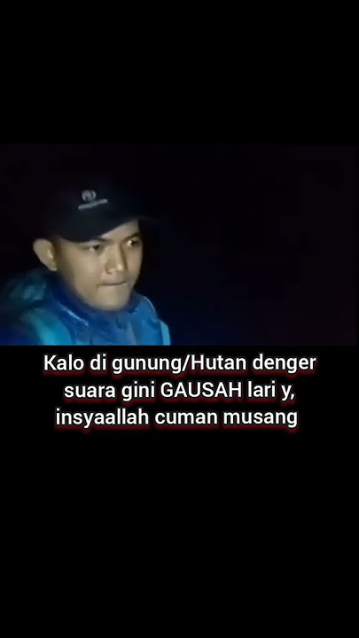 insyaallah suara musang
