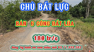 Chủ đất  cần tiền  bán  6 công đất lúa tại mộc hóa long an