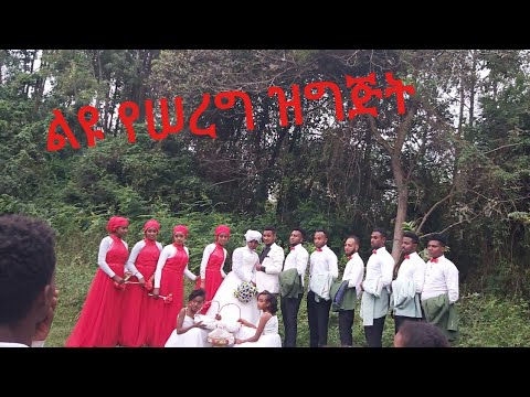 ቪዲዮ: ታሪክ ሳላሂ የተጣራ ዋጋ፡ ዊኪ፣ ያገባ፣ ቤተሰብ፣ ሰርግ፣ ደሞዝ፣ እህትማማቾች