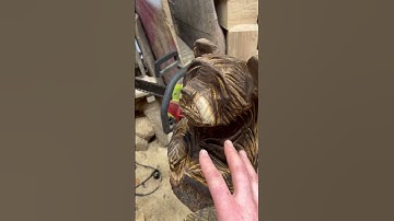 Chainsaw carving an easy bear . Beginner chainsaw carving tutorial #videoshort #short #chainsawcarve