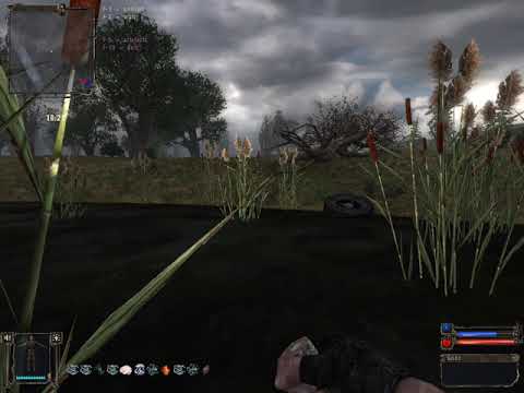 STALKER золотой шар