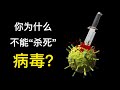 病毒vs細菌，新冠猛如虎，但人類世界離不開病毒