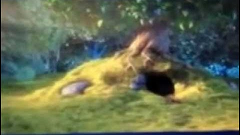 iOS Unity Progressive Streaming mov/mp4 movie/video texture (sound synchronized)