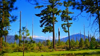 Green Ridge & Black Butte, near Camp Sherman, Oregon