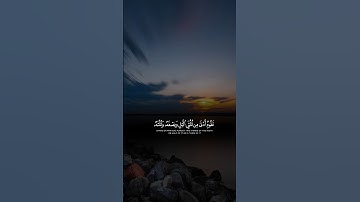 تلاوه خاشعه للقارئ الشيخ عبد الرحمن مسعد اكتب شيء تؤجر عليه ♥✍️🇵🇸