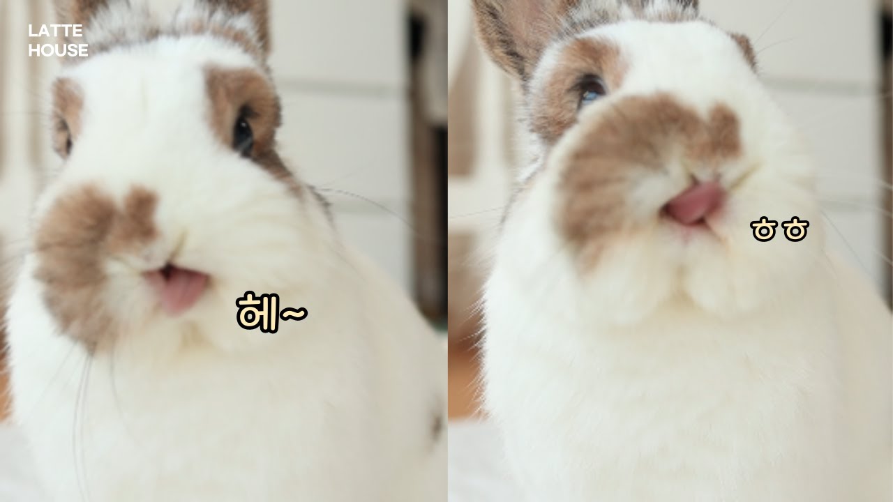 maxresdefault.jpg